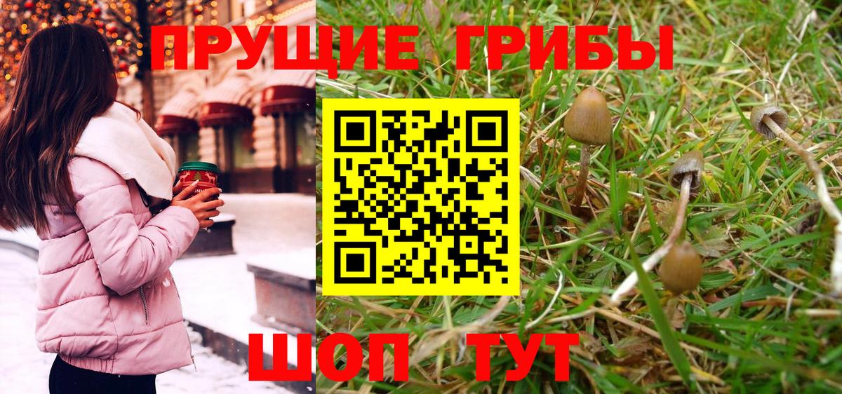 Железногорск  Галлюциногенные грибы GOLDEN TEACHER  Галлюциногенные грибы мухоморы  Вход с VPN 